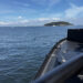猿島の楽しみ方