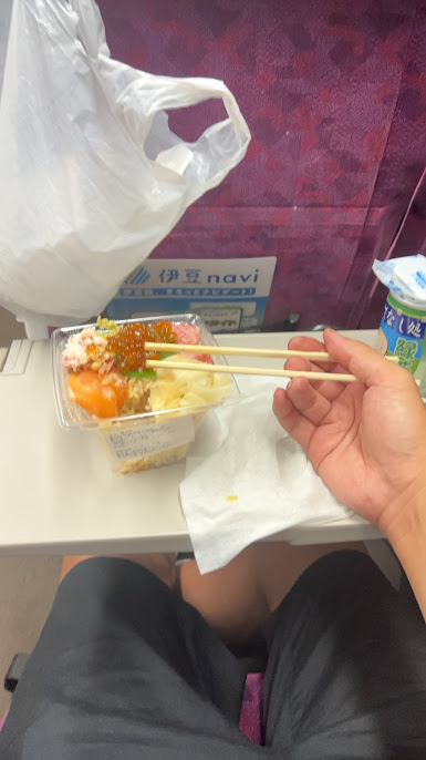 グリーン車で海鮮丼