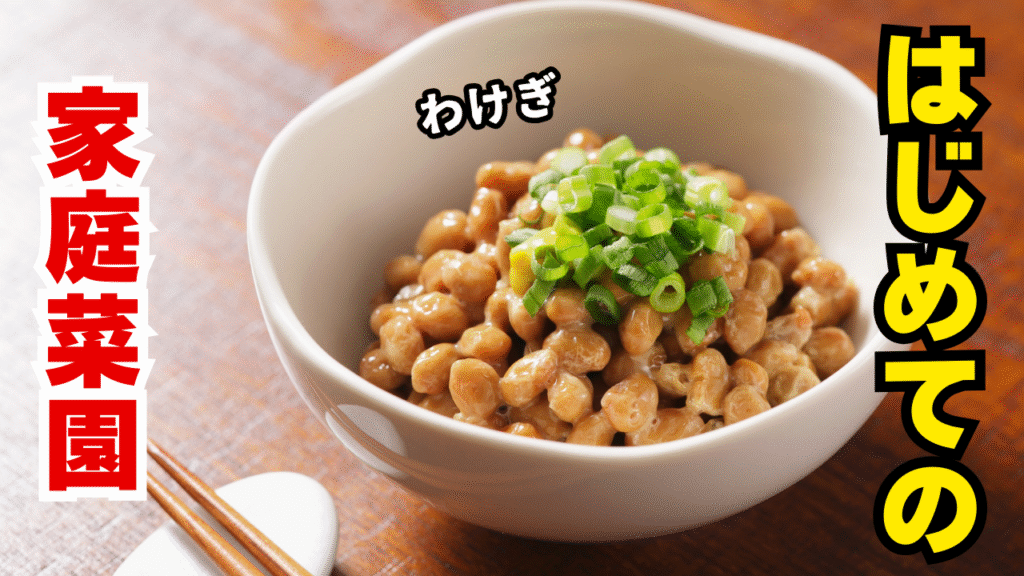 素人家庭菜園でわけぎを育てる