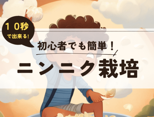 こっこまの趣味ブログ