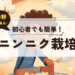 こっこまの趣味ブログ