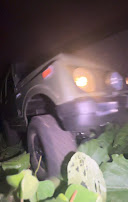 迫力のあるジムニーの画像