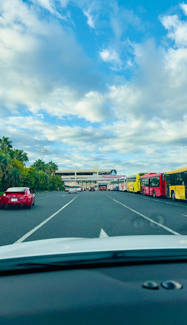激混みディズニーランドの画像