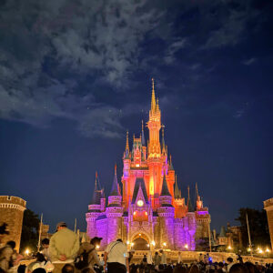 シンデレラ城のライトアップした画像