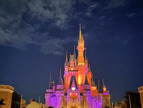 シンデレラ城のライトアップした画像