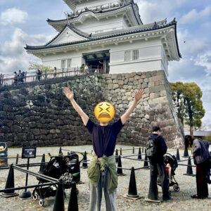 こっこまの画像