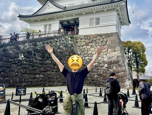 こっこまの画像