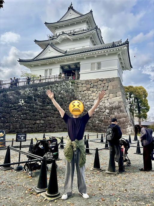 小田原城の写真
