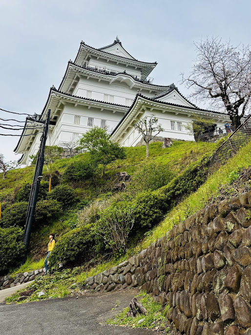 小田原城の画像