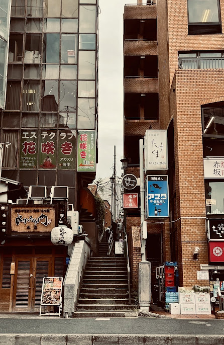 フォトジェニックな写真
